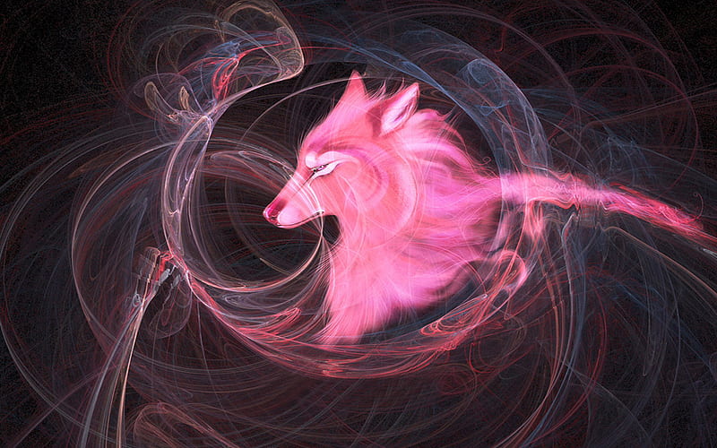 Pink Wolf, wp, fox, pink, fractal, HD wallpaper