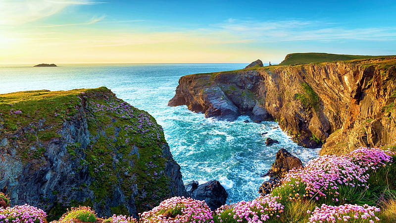 Cornwall, England, sea, coast, rocks, flowers, sunset, sky, HD wallpaper