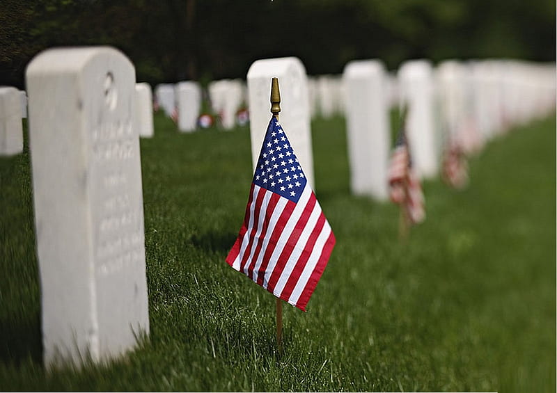 Memorial Day Rembrance, graves, flags, cemetary, patriotic, HD wallpaper