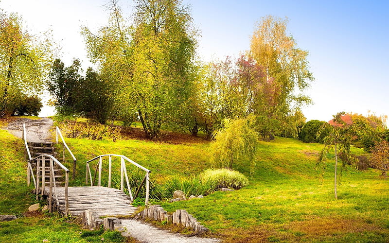 trees grass handrail-Perfect landscape, HD wallpaper