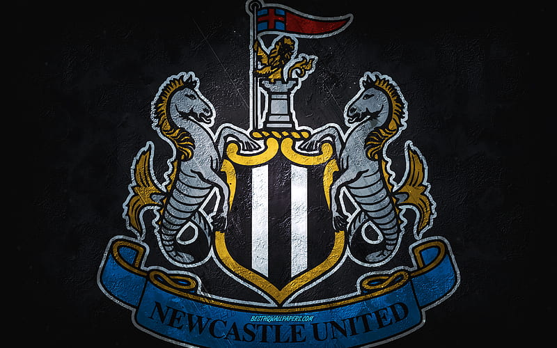 Newcastle United FC, English football club, gray stone background, Newcastle United FC logo, grunge art, Premier League, football, England, Newcastle United FC emblem, HD wallpaper