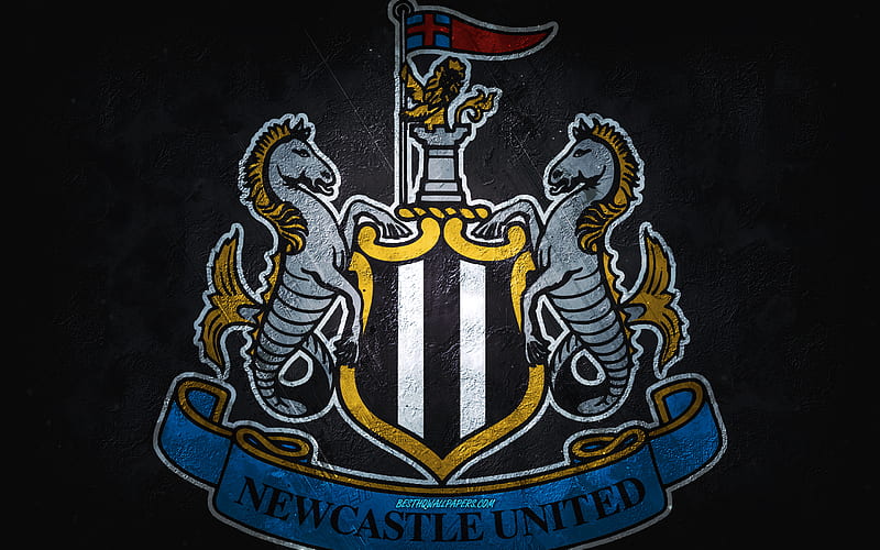 Newcastle United FC, English football club, gray stone background, Newcastle  United FC logo, HD wallpaper | Peakpx