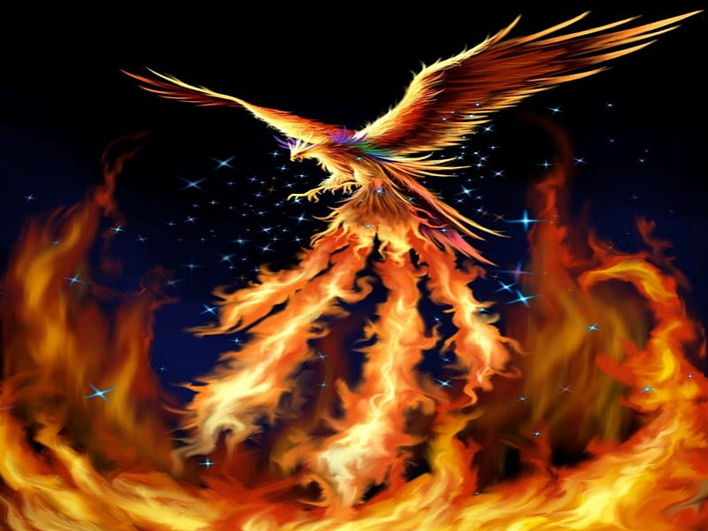 Rise of the Phoenix, wings, glow, phoenix, sparks, aime, wing, fire, fantasy, flame, bird, darkness, blaze, dark, light, creature, HD wallpaper