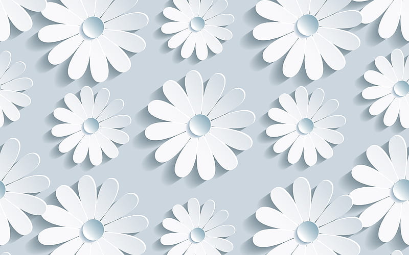 3D daisies floral patterns, gray backgrounds, 3D flowers, gray abstract background, 3D flowers textures, white 3D flowers, 3D textures, background with flowers, HD wallpaper
