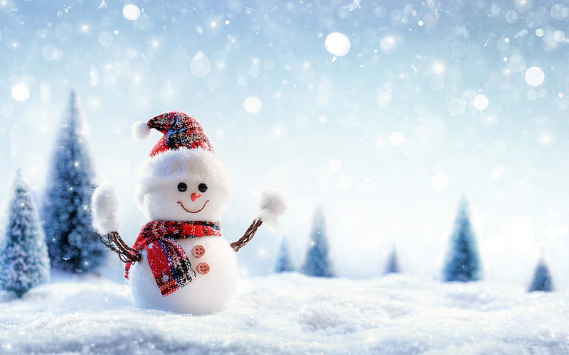 Christmas Snowman Crafts 2020 Winter graphy, HD wallpaper