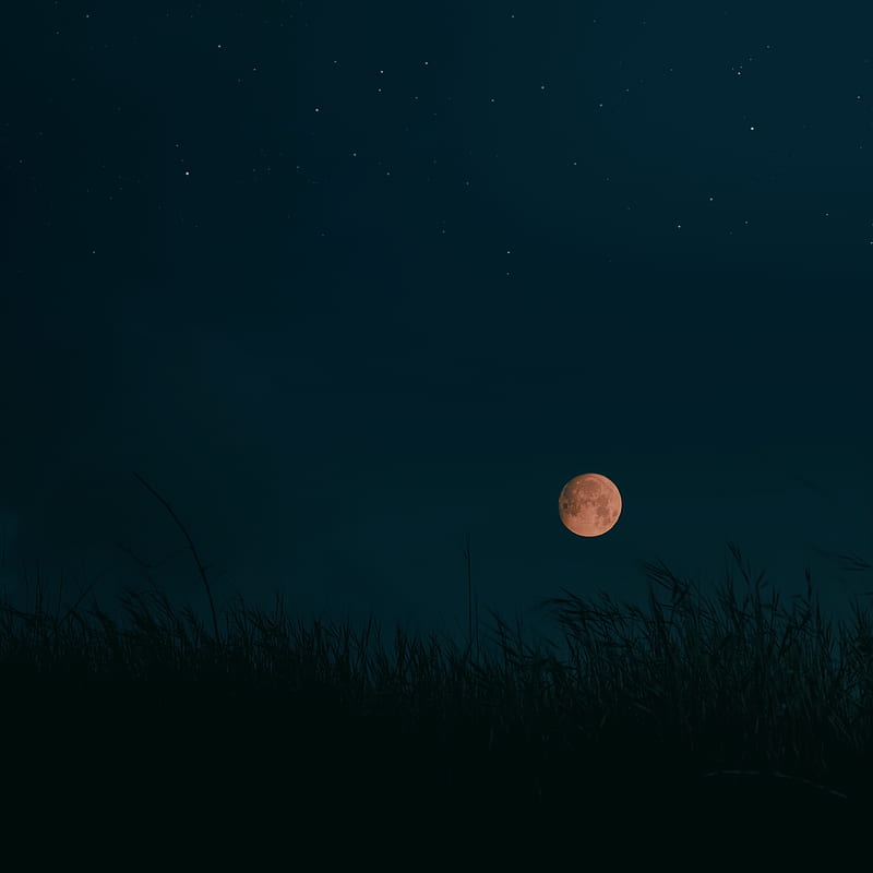 night, moon, grass, dark, landscape, HD phone wallpaper