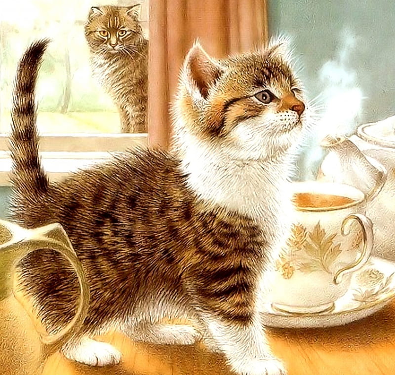 Kitten and Coffee, cute, Kitten, Coffee, Cats, HD wallpaper