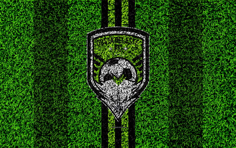 Costa del Este FC logo, football lawn, Panama football club, black green lines, grass texture, emblem, Panamanian Football League, Panama City, Panama, football, HD wallpaper