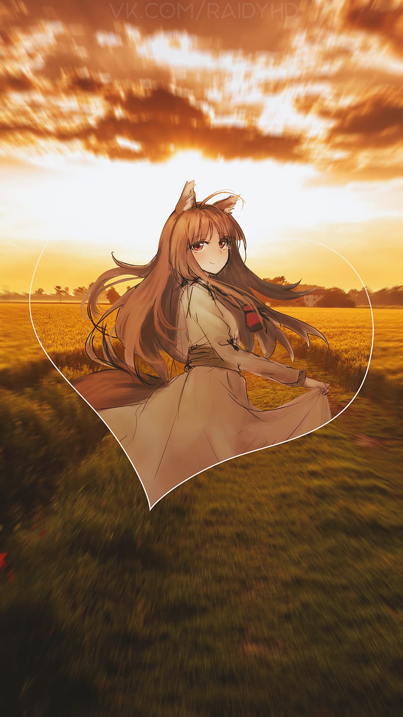 Anime, anime girls, -in-, Spice and Wolf, Holo (Spice and Wolf), HD phone  wallpaper | Peakpx