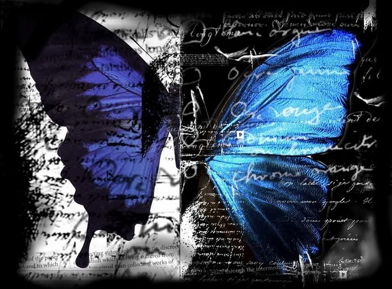 Lost Words, butterfly, gothic, dark, black, white, blue, HD wallpaper