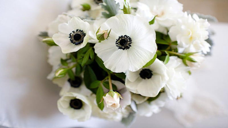 ❀⚘Soft Anemones⚘❀, romantic, white flowers, romance, cheerful, pale pink rose buds, bonito, purity, delicate, in love, love, beauty, HD wallpaper