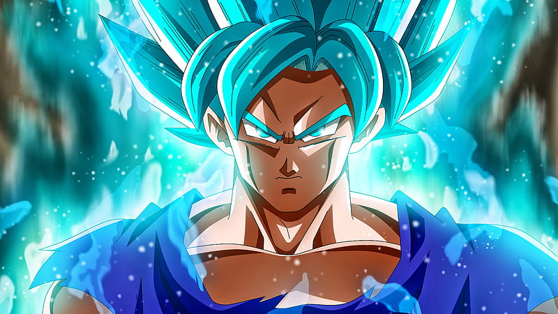 Goku - Super Saiyan blue  Anime dragon ball goku, Anime dragon