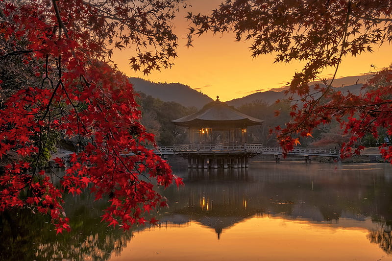 Man Made, Gazebo, Fall, japan, Leaf, Pond, HD wallpaper