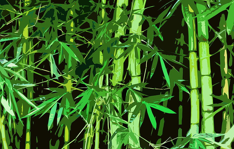 forest, China, Bamboo, China, Bamboo for , section природа, Chinese Bamboo Forest, HD wallpaper