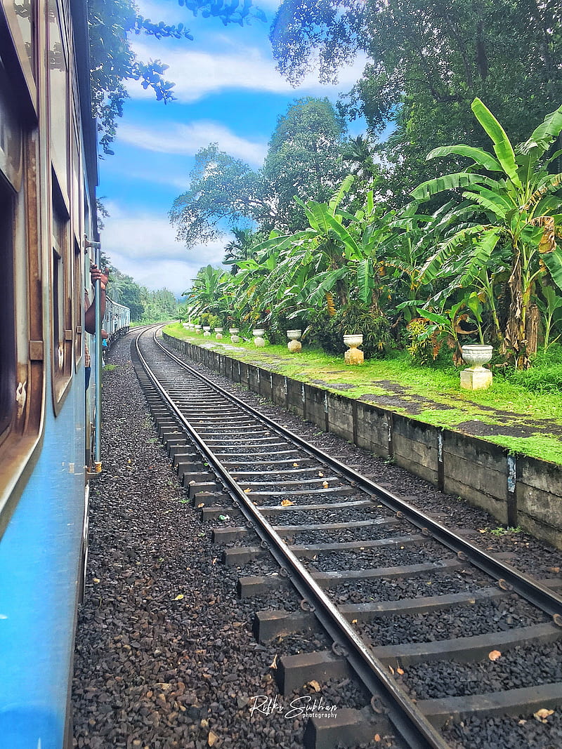 Travel Sri Lanka natural, play, railway, station, train, HD phone wallpaper