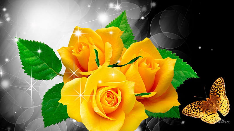 Shine on Yellow Roses, flowers, glow, twinkle, lustre, shine, yellow, flash, winkle, lights, sparkle, glint, gold, butterfly, scintillate, shimmer, papillon, flowers, glisten, radiate, flare, glitter, spangle, spring, glister, roses, glimmer, summer, luster, wink, gleam, shiny, HD wallpaper