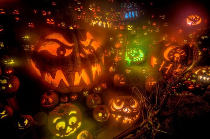 Halloween Lights, pumpkin, scary, face, artwork, night, light, HD wallpaper