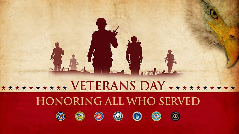 Veterans Day, Veterans, soldiers, honor, Eagle, barbed wire, guns, helmets, Vets, Bald Eagle, honoring, HD wallpaper