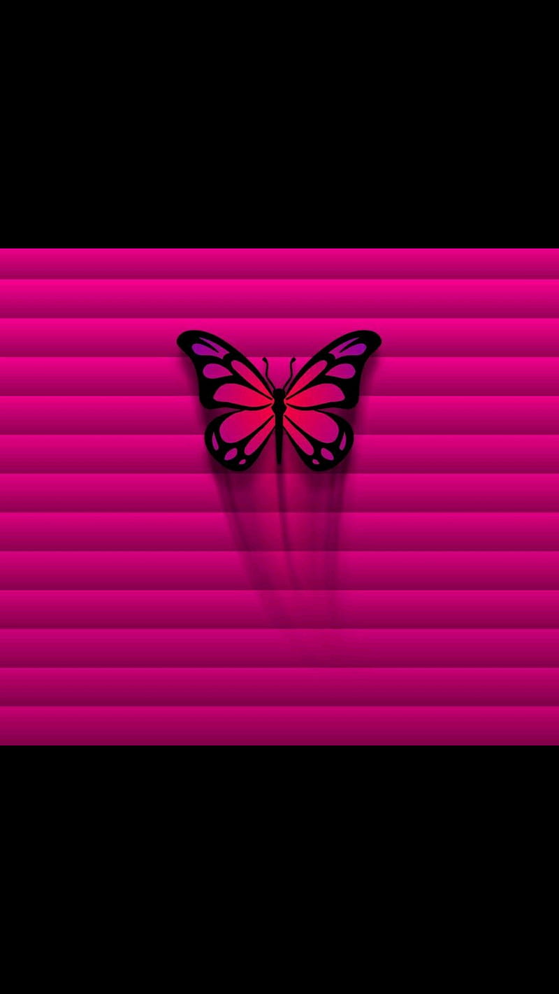 Mariposa, rosa, Fondo de pantalla de teléfono HD | Peakpx