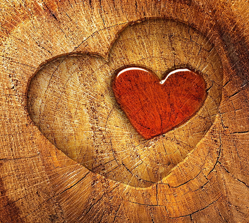 Wood Hearts, abstract, HD wallpaper