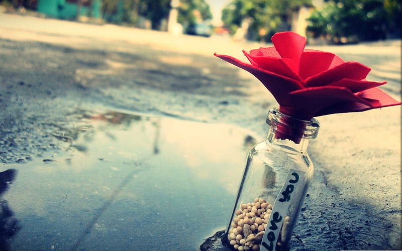 love you message in a bottle-love the design, HD wallpaper