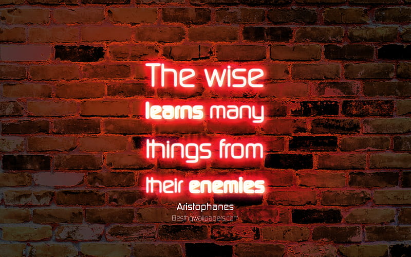 The wise learns many things from their enemies orange brick wall, Aristophanes Quotes, neon text, inspiration, Aristophanes, quotes about learning, HD wallpaper