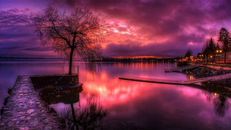 glorious purple sunset r, tree, waterfront, colors, r, sunset, clouds, lake, HD wallpaper