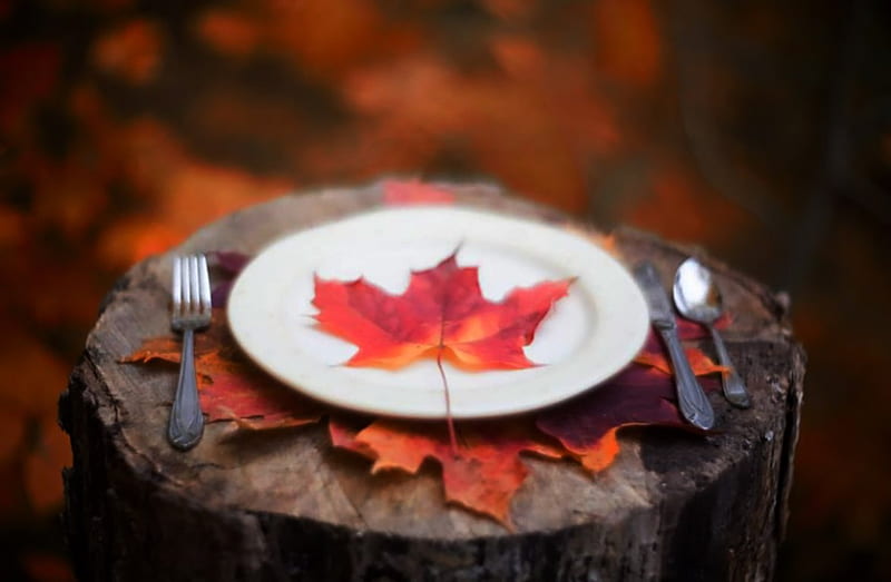 Welcome to the nature table, fall, autumn, leaves, dish, orange leaves, cutlery, seasons, wood, HD wallpaper