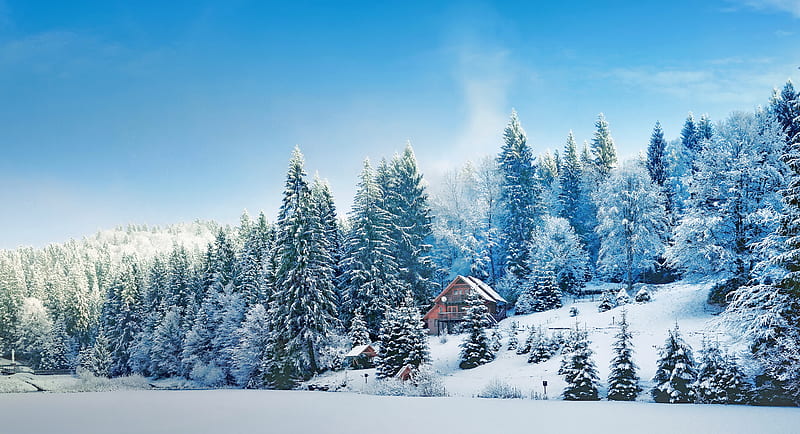 Winter chalet, forest, chalet, snow, bonito, trees, sky, frost, winter, HD wallpaper