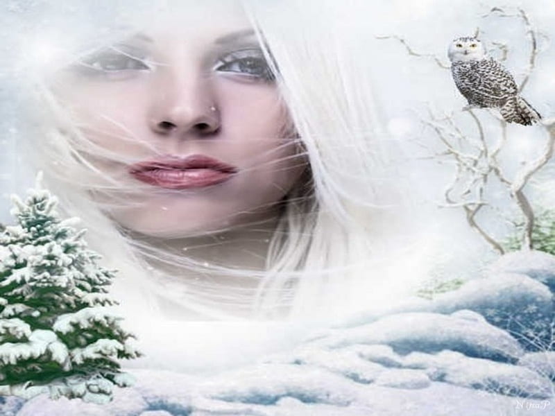 Woman - winter, bird, woman, landscape, winter, tree, HD wallpaper | Peakpx