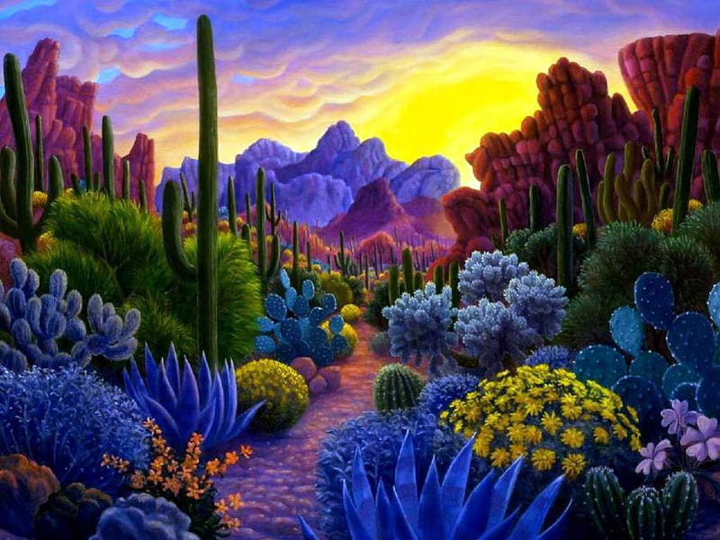 Desert Plants, sun, flowers, blossoms, path, colors, sky, cactus, HD wallpaper