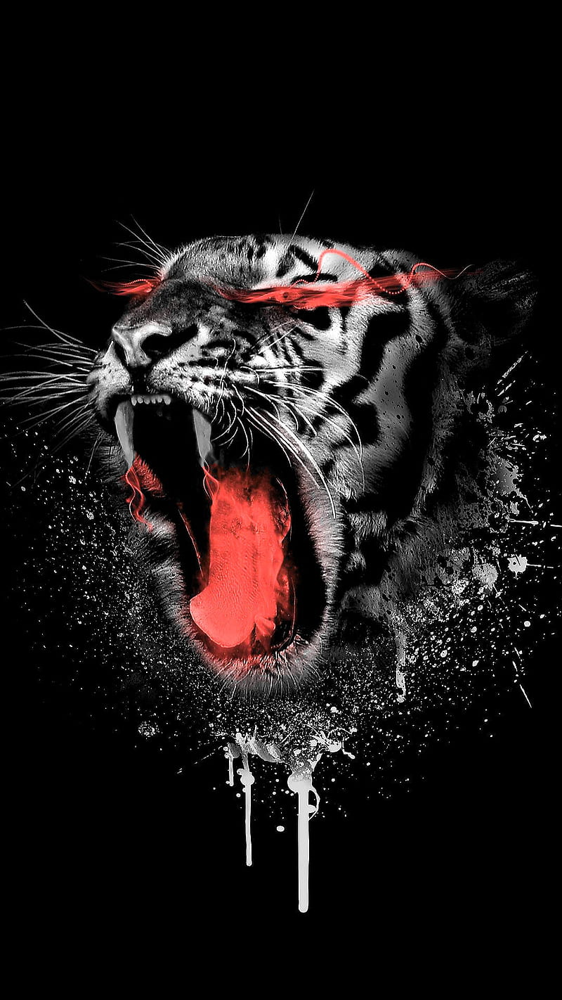 Angry tiger, animal, black and white, bw, mouth, red, teeth, texture,  tongue, HD phone wallpaper | Peakpx