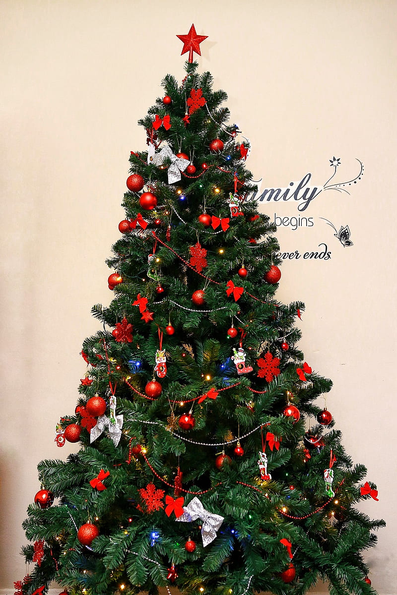 Cristmas Tree , merry, christmas, merry chrismas, christmas season, HD phone wallpaper