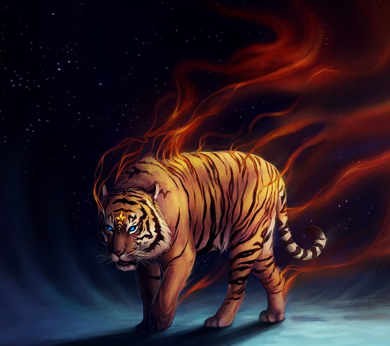 Abstract Tiger, 2160x1920, HD wallpaper