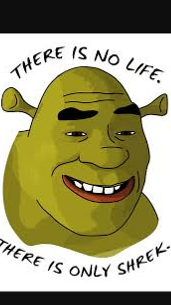 Download Funny Shrek Embarrassed Meme Wallpaper