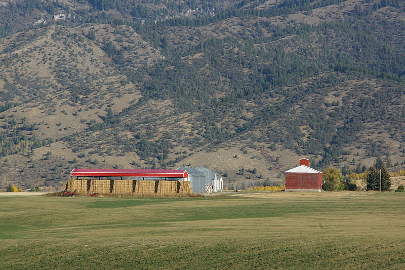 Farm SH-31 Swan Valley, Idaho, Fall, Mountains, Barns, Hay, Silos, Harvest, Fields, Storage Sheds, HD wallpaper