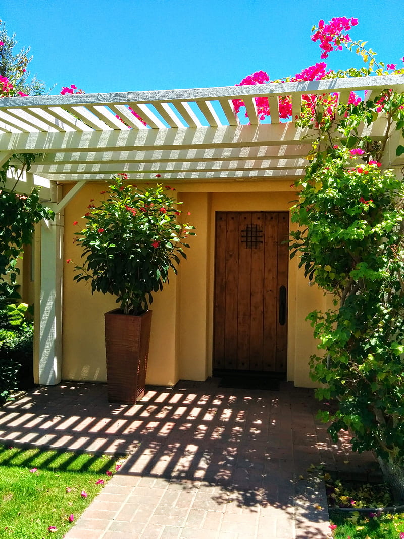 La Casita entry way, art, floral, homes, plants, HD phone wallpaper