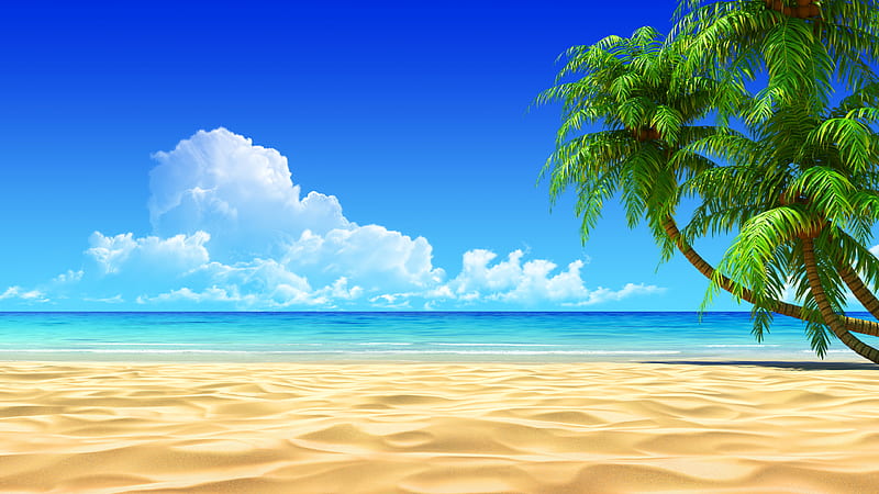 Tropical Beach, pretty, summer time, palm, bonito, clouds, sea, beach, sand, splendor, green, beauty, blue, exotic, lovely, view, ocean, colors, waves, sky, palms, paradise, peaceful, summer, nature, tropical, HD wallpaper
