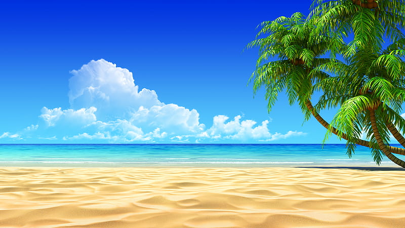 DESKTOP WALLPAPER HD 4K - CUTE TROPICAL