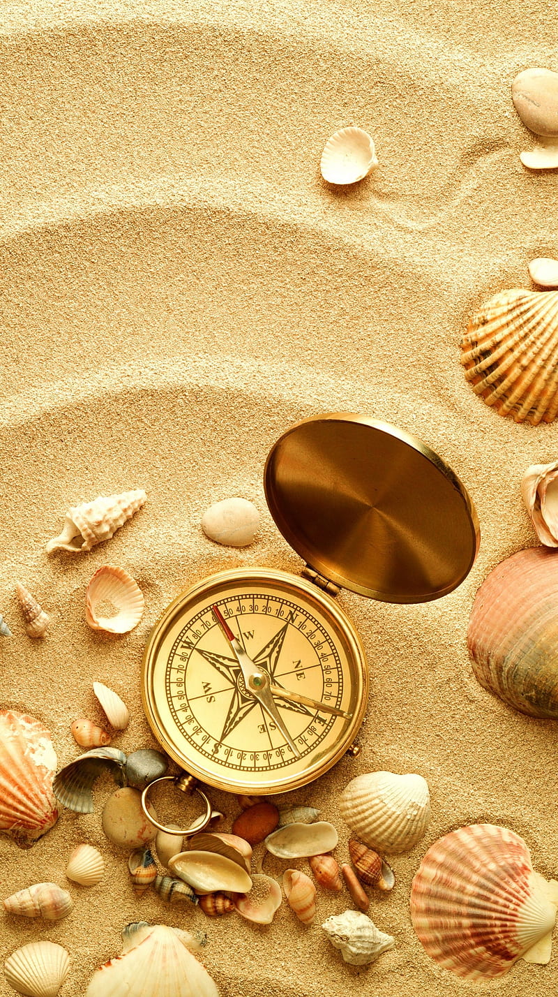 Compass, beach, holiday, sand, sea, shell, HD phone wallpaper