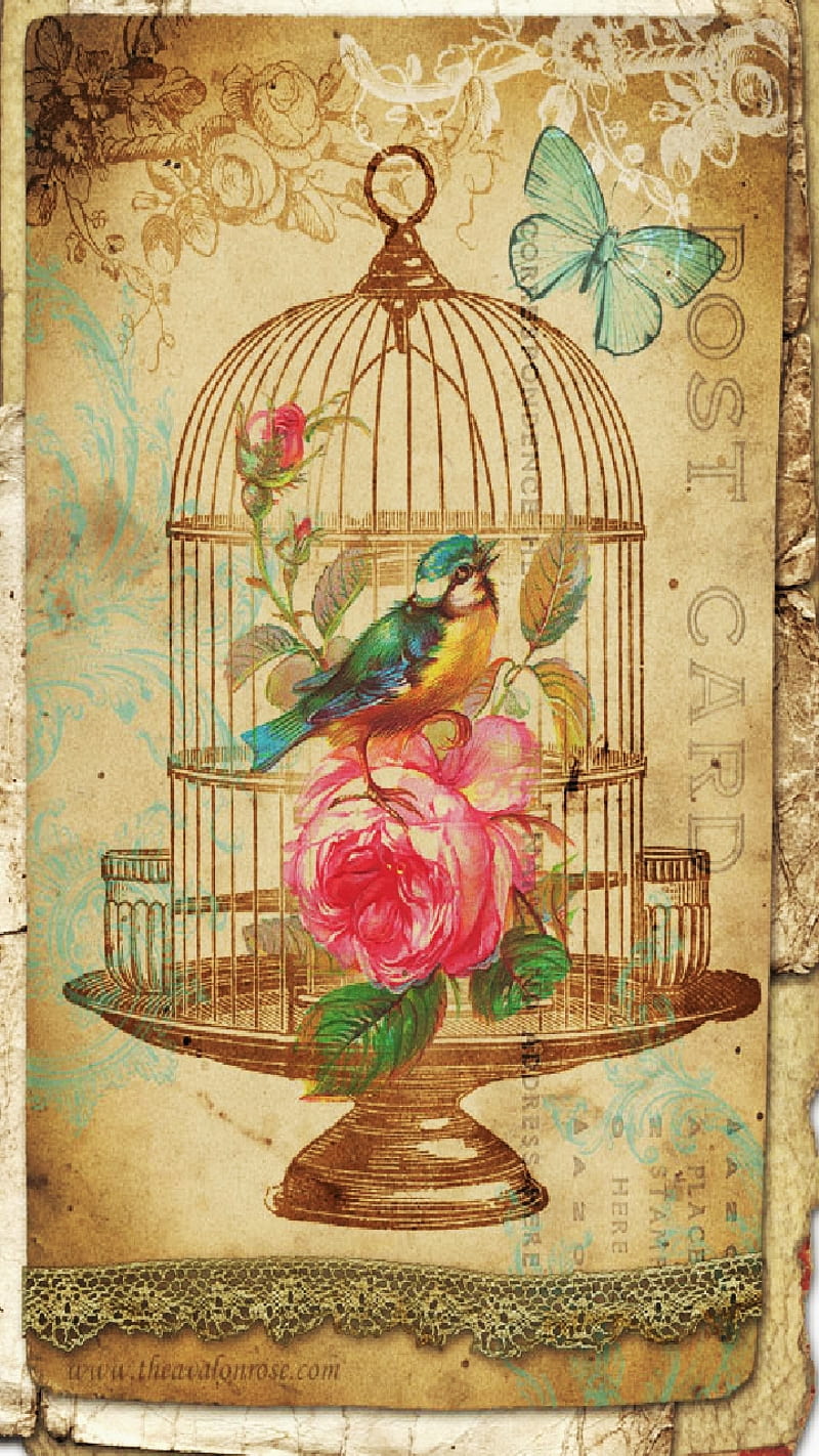 Shabby Cage, animal, bird, birdcsge, chic, pet, pink, shabby, vintage, HD phone wallpaper