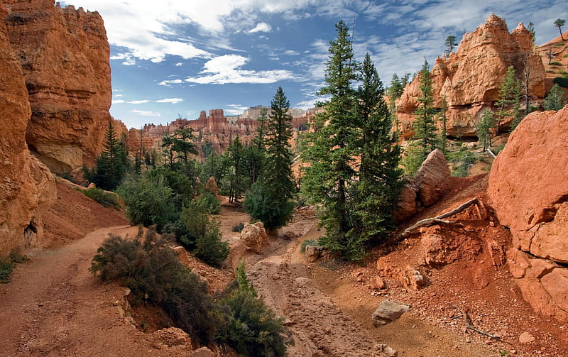 Bryce Canyon National Park, Bryce Canyon, nature, park, trees, clouds, sky, HD wallpaper