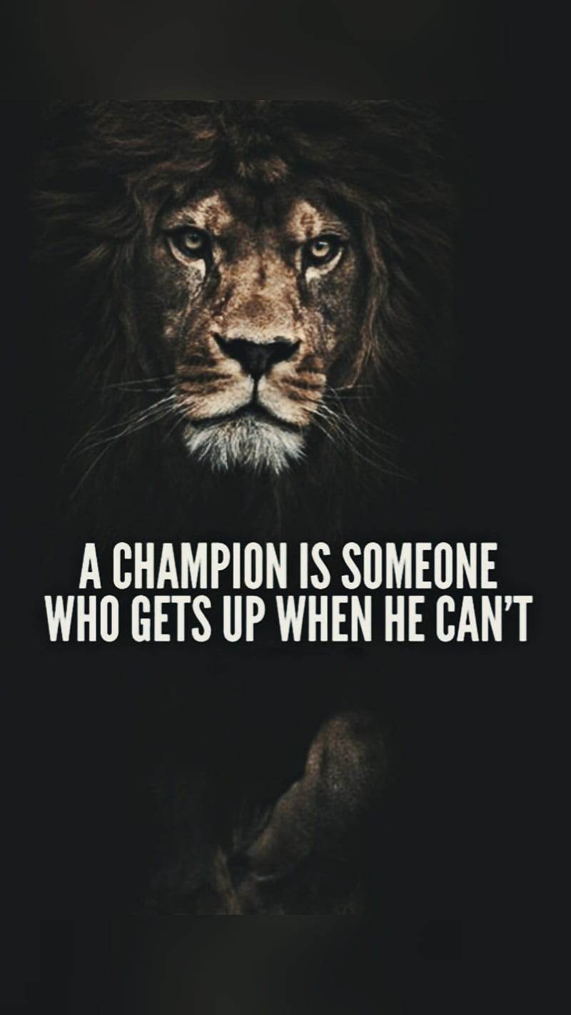Motivation quotes, beast, king, lion, lions, mode, motivation, one, one ...