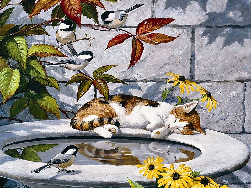 Calico on the Birdbath - Cat F, art, birdbath, songbirds, bonito, pets, artwork, animal, chickadees, feline, painting, wide screen, flowers, cats, HD wallpaper