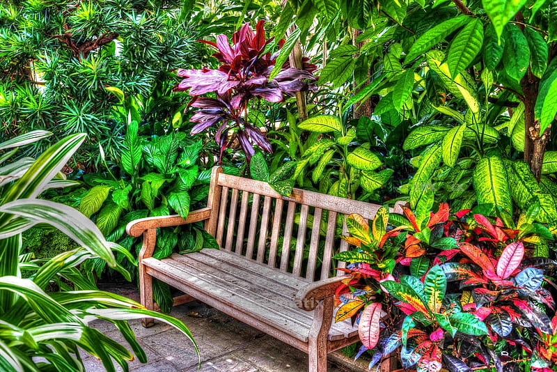 Beautiful Garden Bench, red, green, bench, color, garden, park, HD wallpaper