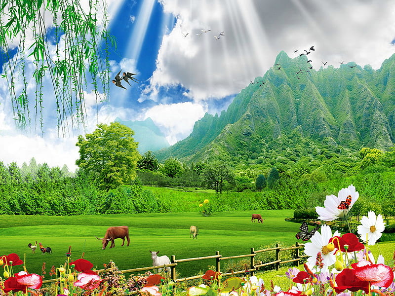 Peaceful , fence, sun, grass, sky, clouds, mountain, green, summer, flowers, peaceful, animals, cows, HD wallpaper