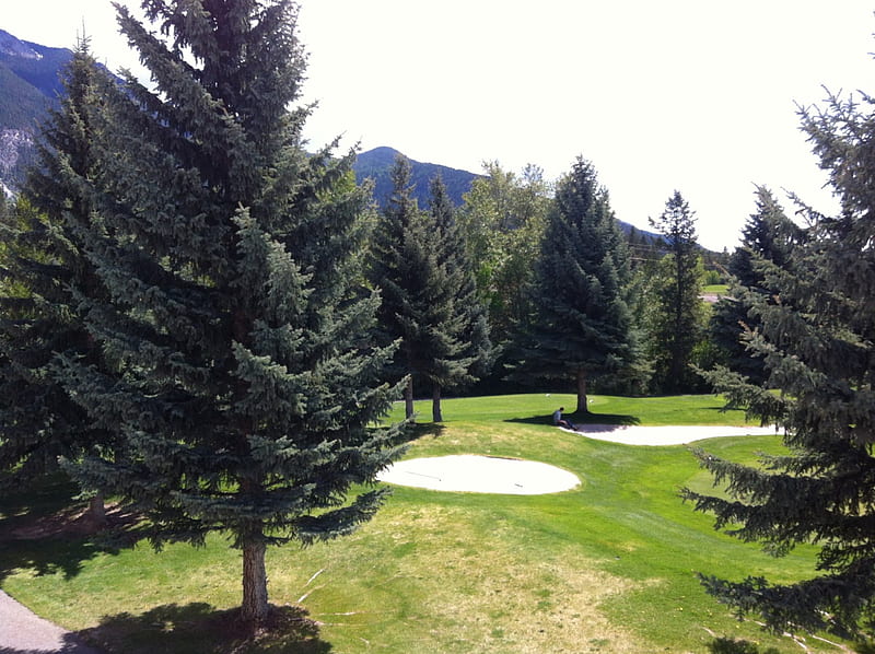 Fairmont Mountains in BC - Canada 12, sand, graphy, Trees, green, Golf course, Fields, HD wallpaper