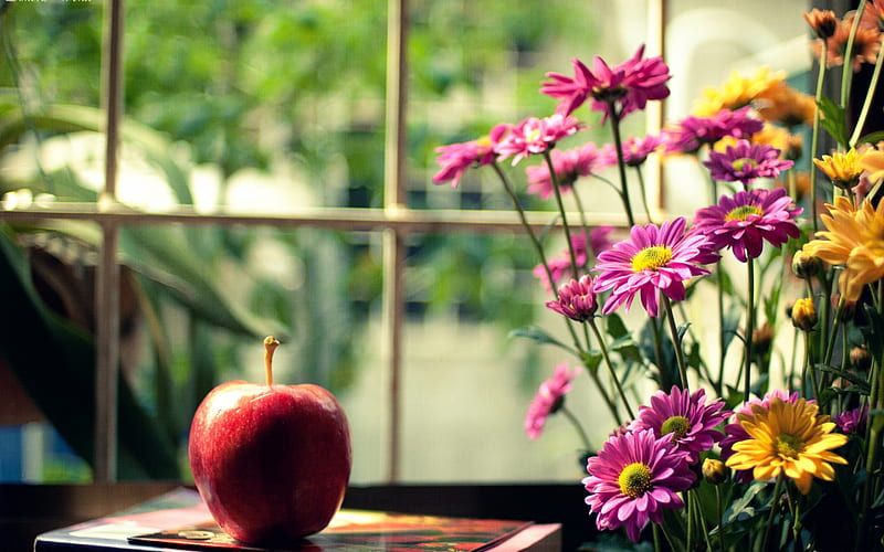 Flowers, apple, red, window, blur, book, yellow, box, beauty, pink, HD wallpaper