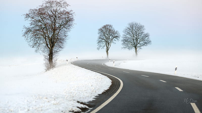 Winter Highway, drive, trees, winter, white line, highway, snow, road, street, Firefox Persona theme, HD wallpaper