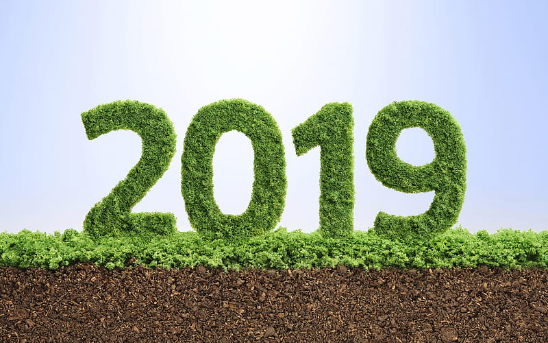 2019 year, herbal numbers, eco concepts, green grass digits, 2019 concepts, New Year, HD wallpaper